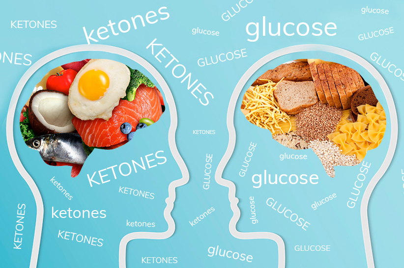 Ketones vs Glucose: Which Is A Better Fuel for Your Brain?