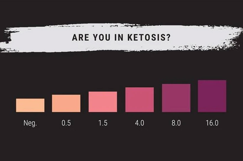 ketone meter results