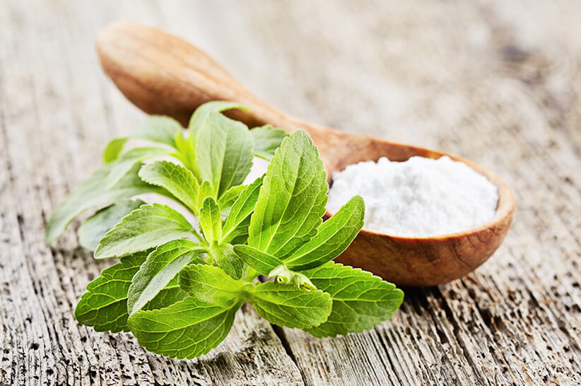 stevia plant and stevia powder