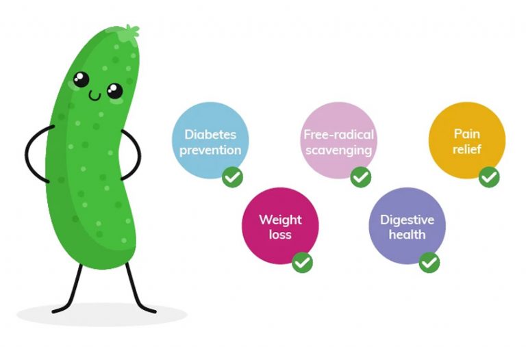 Carbs in Cucumbers & Other Nutritional Info Kiss My Keto Blog