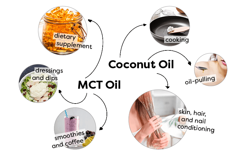 All About MCT Oil Composition, Varieties, Benefits, Uses,, 41% OFF